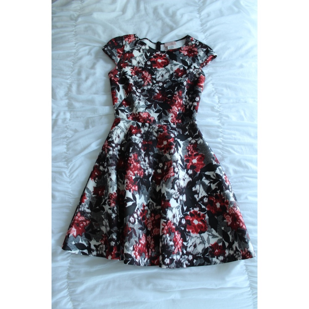 Black, White, and Red floral skater dress